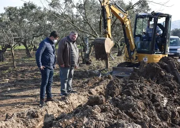 Umurbey’de zeytinlikler suya kavuşuyor