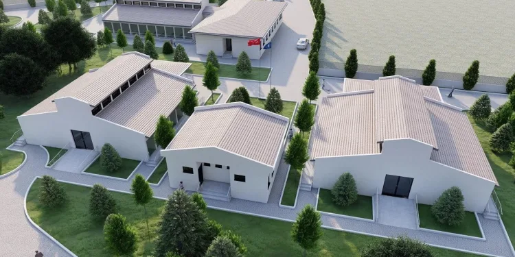 Sokak hayvanlarına modern rehabilistasyon merkezi