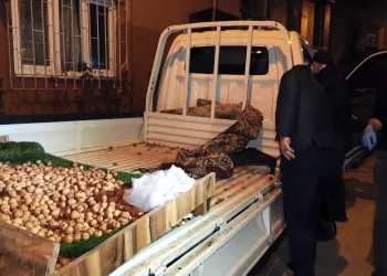 Bursa’da ceviz yüklü kamyonette uyuşturucu ele geçirildi