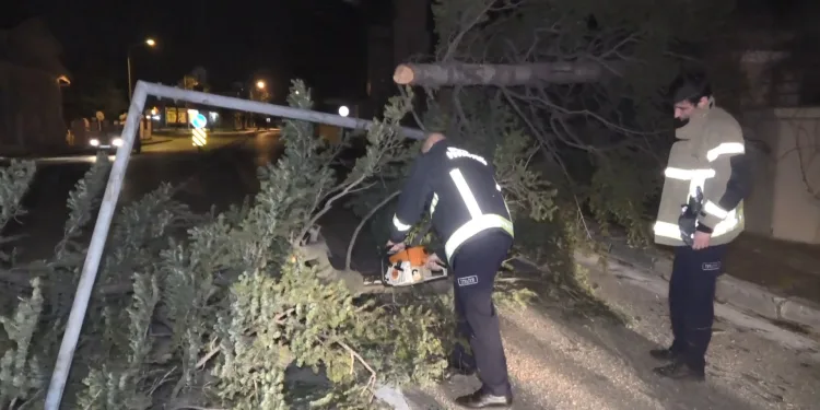 Bursa’da lodos ağaç ve elektrik direklerini devirdi