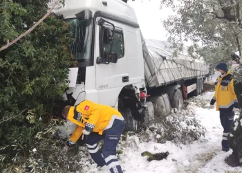 Bursa’da otomobille çarpışan TIR zeytinliğe girdi