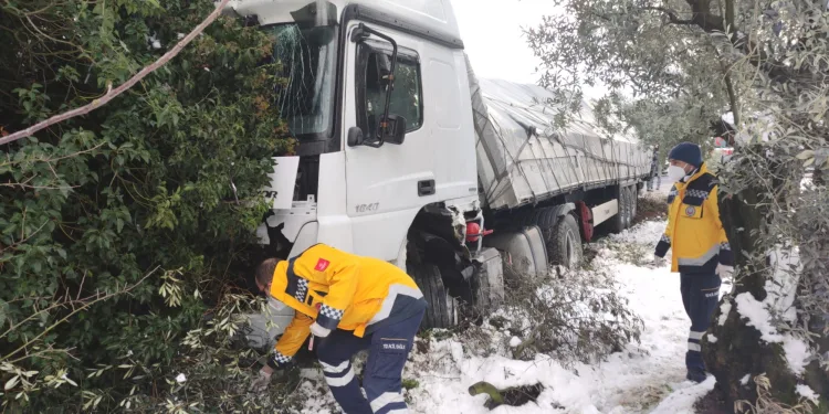 Bursa’da otomobille çarpışan TIR zeytinliğe girdi