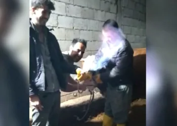 İneğin midesinde biriken gazı hortumla çıkarıp yaktılar