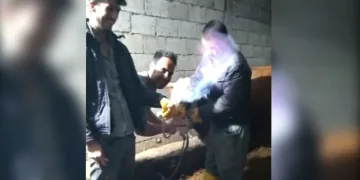 İneğin midesinde biriken gazı hortumla çıkarıp yaktılar