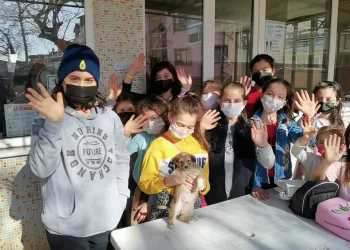 Çocuklar, sokak hayvanları için kolları sıvadı