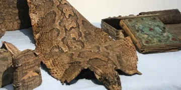 Şanlıurfa’da, Orta Çağ’dan kalma piton derisi ele geçirildi