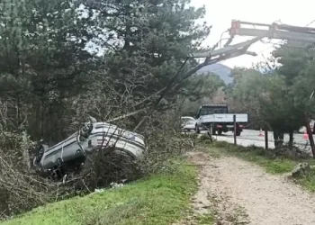 Bursa’da ehliyetsiz sürücü ormanlık alana uçtu