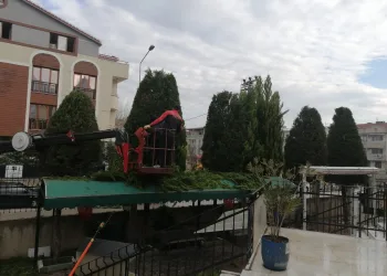 Gürsu Belediyesi kamusal alanlara bakım yapıyor