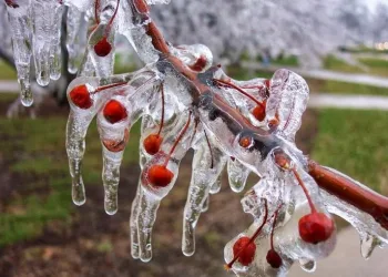 Meteoroloji’den Bursa’ya sarı kodlu uyarı