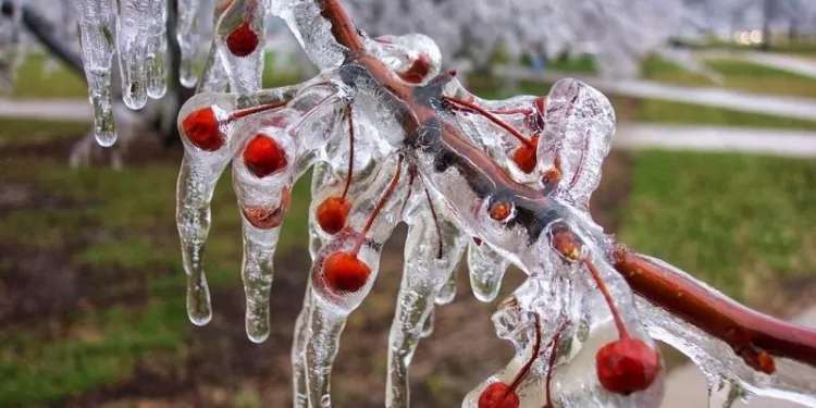Meteoroloji’den Bursa’ya sarı kodlu uyarı