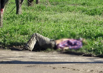 Bursa’da yol kenarındaki cinayetin nedeni belli oldu