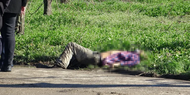 Bursa’da yol kenarındaki cinayetin nedeni belli oldu