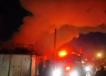 Bursa’da alevler geceyi aydınlattı