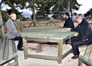 Kozdere çamlığının düzenlemesi sona erdi