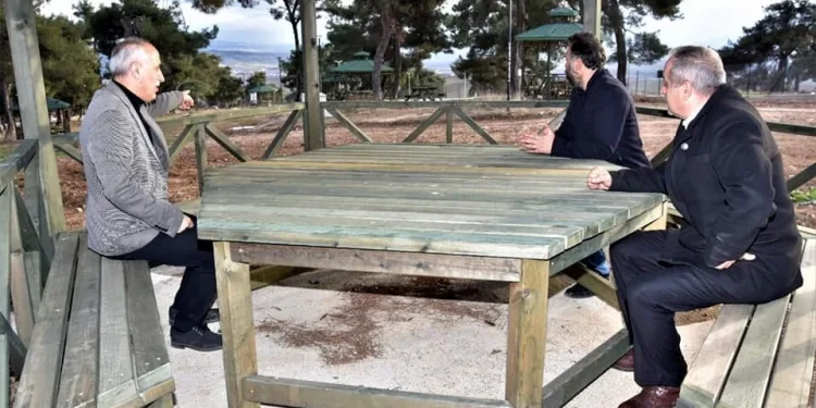 Kozdere çamlığının düzenlemesi sona erdi