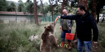 Türkiye’nin tek ayı barınağında Dünya Yaban Hayatı Günü kutlandı