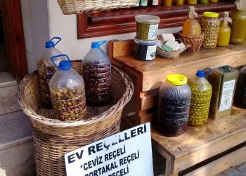 Mudanya’nın tanıtımında zeytin farkı