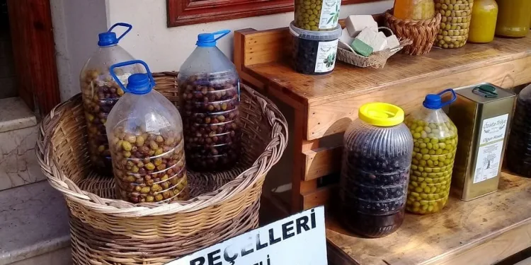 Mudanya’nın tanıtımında zeytin farkı