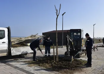 Karacabey Yeniköy sahil yoluna ‘yeşil’ dokunuş