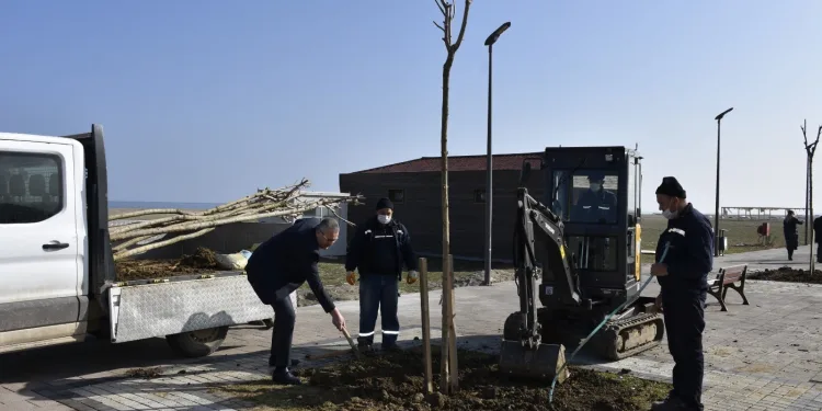 Karacabey Yeniköy sahil yoluna ‘yeşil’ dokunuş