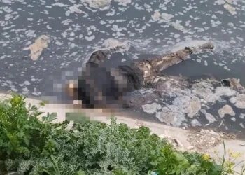 Su kanalında çürümeye yüz tutmuş erkek cesedi bulundu