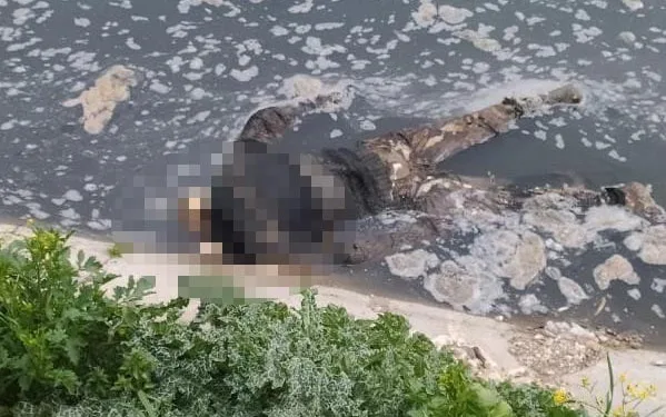 Su kanalında çürümeye yüz tutmuş erkek cesedi bulundu
