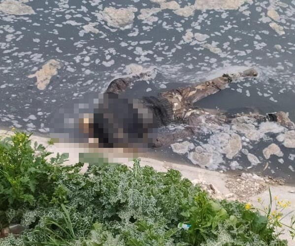 Su kanalında çürümeye yüz tutmuş erkek cesedi bulundu