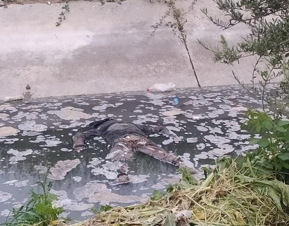 Su kanalında çürümeye yüz tutmuş erkek cesedi bulundu