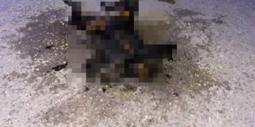 Şanlıurfa’da yanmış kadın cesedi bulundu