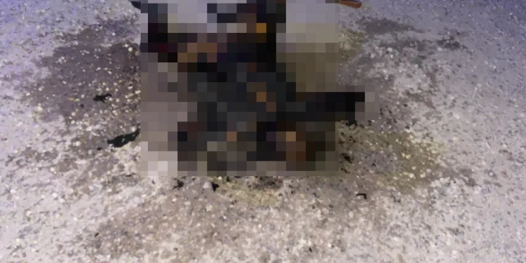 Şanlıurfa’da yanmış kadın cesedi bulundu