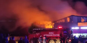 Bursa’da karton fabrikası küle döndü