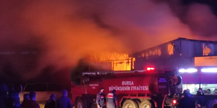 Bursa’da karton fabrikası küle döndü