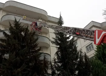 Bursa’da 5. kattan düşen kedisi kurtarıldı, göz yaşlarına boğuldu