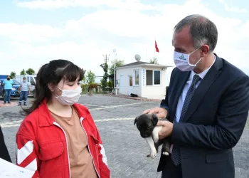 Bursa İnegöl’de sahiplenilen hayvanların 1 yıllık muayenesi ücretsiz yapılıyor