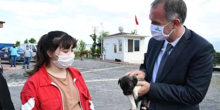 Bursa İnegöl’de sahiplenilen hayvanların 1 yıllık muayenesi ücretsiz yapılıyor