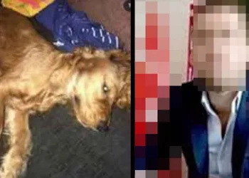 Emanet edilen köpeğe cinsel istismar iddiasına iddianame