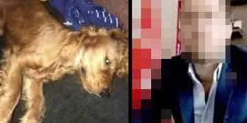 Emanet edilen köpeğe cinsel istismar iddiasına iddianame