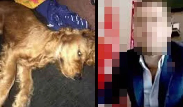 Emanet edilen köpeğe cinsel istismar iddiasına iddianame