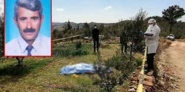 Zeytin ağaçlarını kesen abisini çıkan tartışmada öldürdü