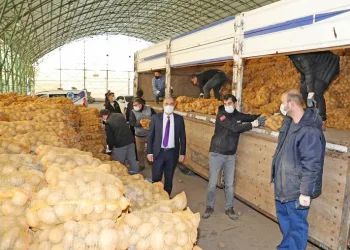 Mudanya Belediyesi’nden ihtiyaç sahiplerine 80 ton patates