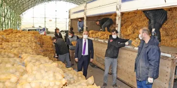 Mudanya Belediyesi’nden ihtiyaç sahiplerine 80 ton patates