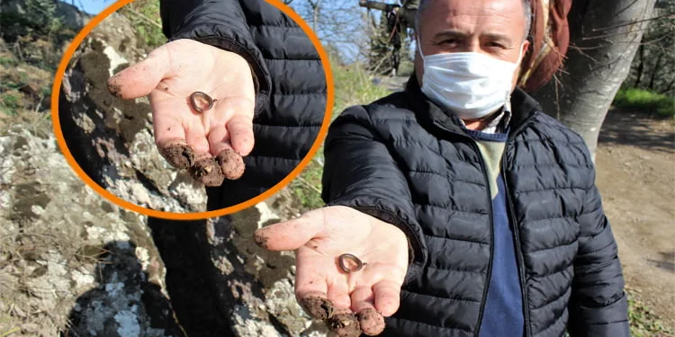 Bursa’da ilginç gelenek! 3 tur atıp böcekleri yutuyorlar