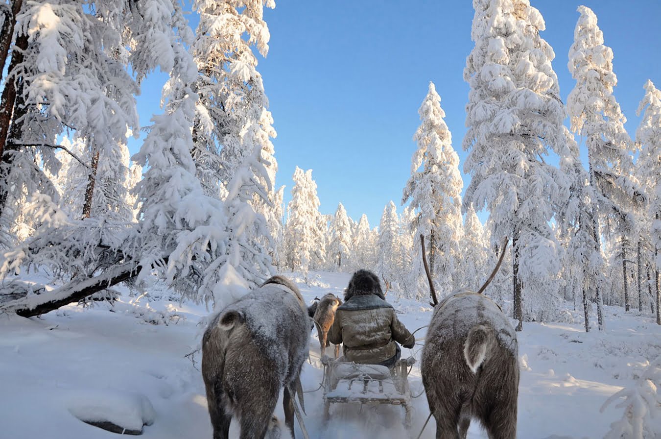 Rusya'nın en soğuk bölgesi! Termometreler eksi 50'yi gördü