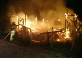 Bursa’da bağ evi yangında küle döndü