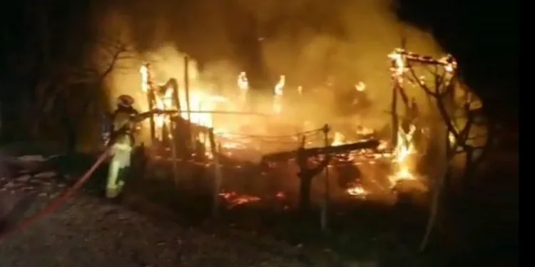 Bursa’da bağ evi yangında küle döndü
