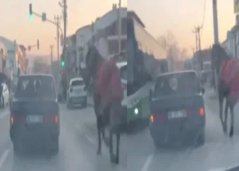Bursa’da aracına at bağlayıp caddelerde koşturdu