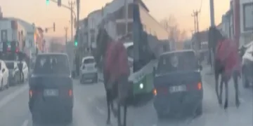 Bursa’da aracına at bağlayıp caddelerde koşturdu
