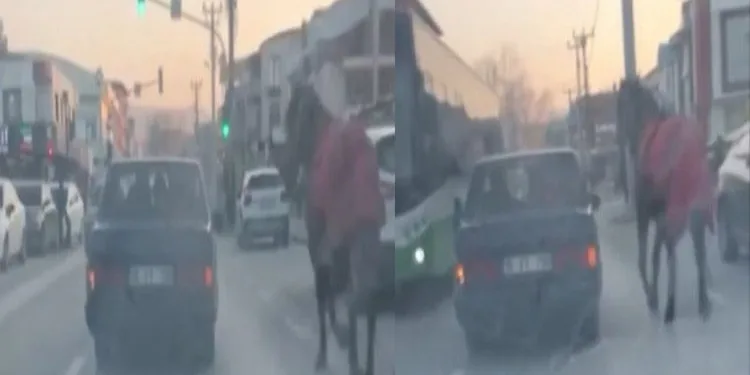 Bursa’da aracına at bağlayıp caddelerde koşturdu