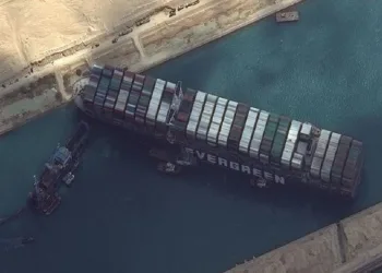 DSÖ koronavirüsün kaynağını açıkladı