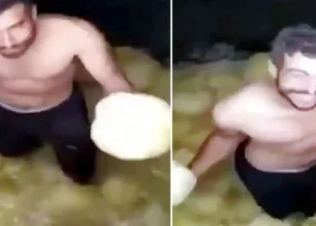 Tepki çeken görüntü! Bu halde turşu tankına girdi